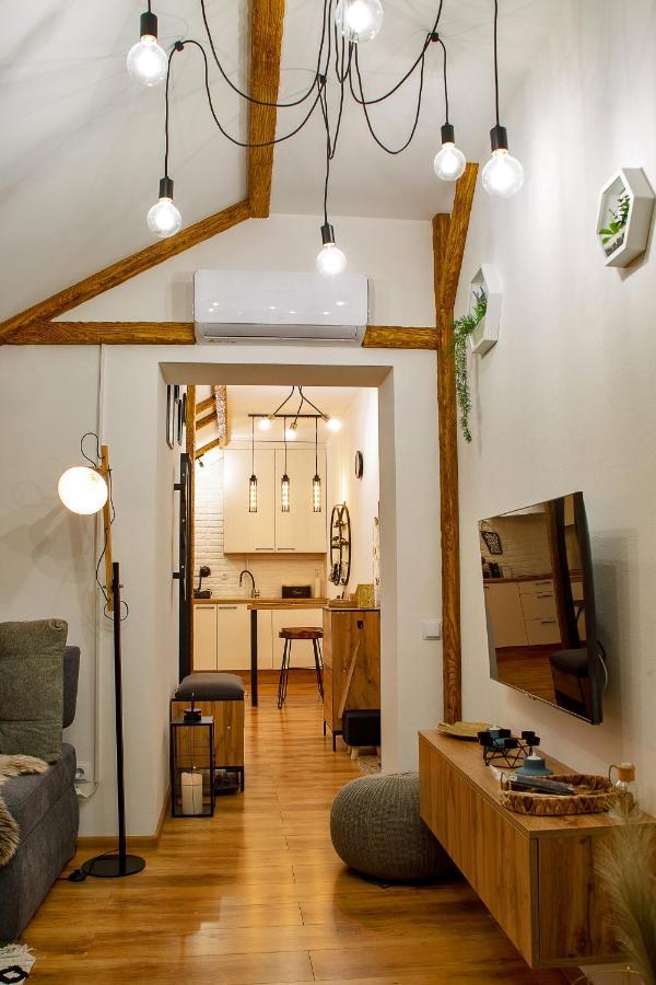 Old Town Loft Apartments Kamjanets-Podilskyi Eksteriør billede